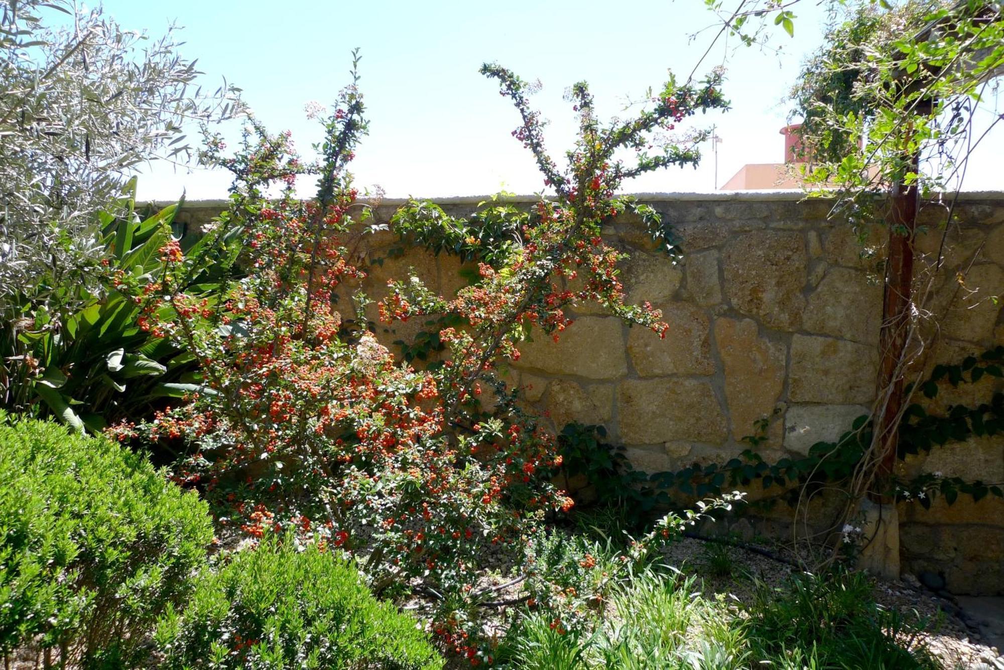 Hotel Rural San Miguel - Only Adults San Miguel de Abona Extérieur photo